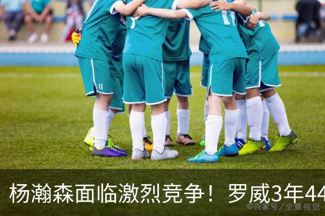 杨瀚森面临激烈竞争！罗威3年4400万美元续约开拓者