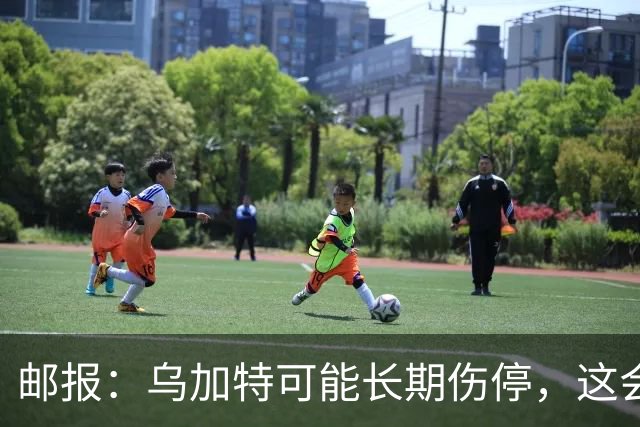 邮报：乌加特可能长期伤停，这会影响曼联今夏的转会运作